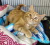 Wally - Photo 4