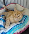 Wally - Photo 3