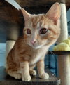 Wally - Photo 5