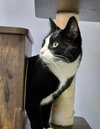 Tigley @ The Cat's Brew - Photo 5