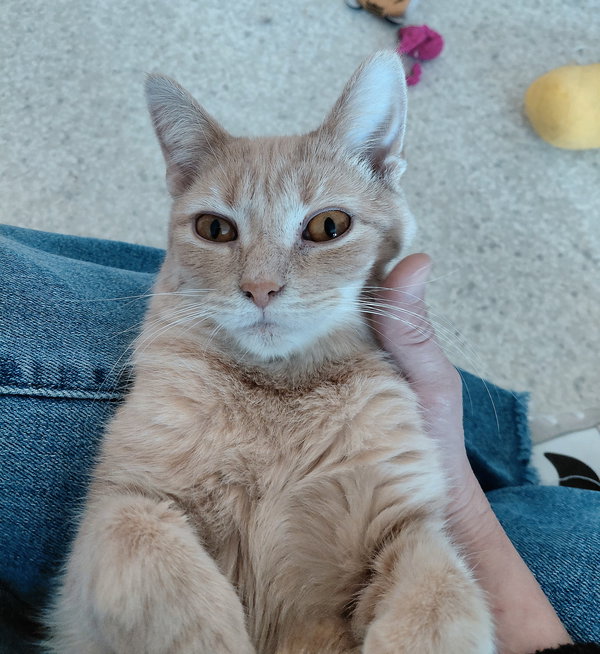 Cooper @ The Cat's Brew