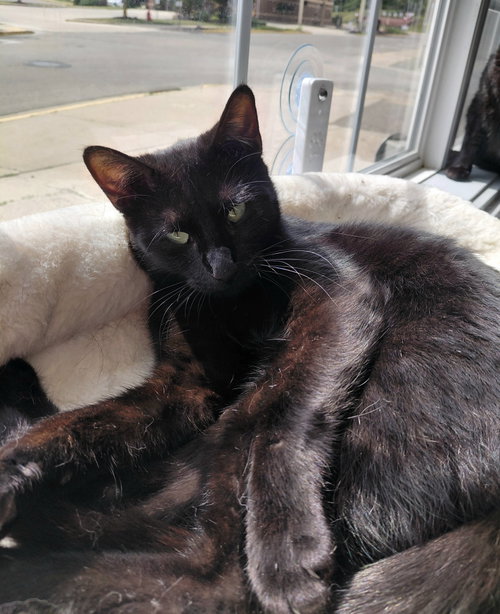 Eleanor