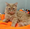 Vince - Photo 4