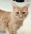 Vince - Photo 5