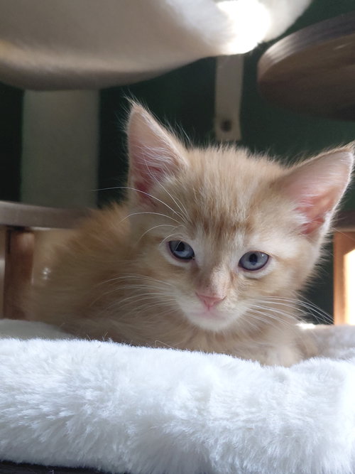 Photo 6 of Sheldon