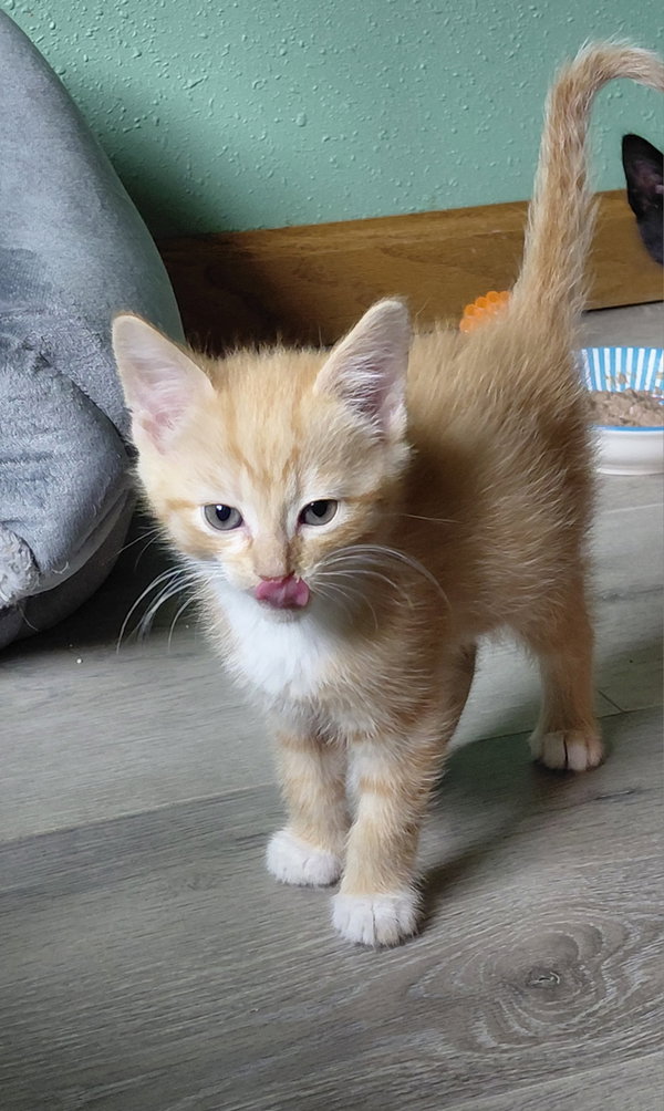 Leonard
