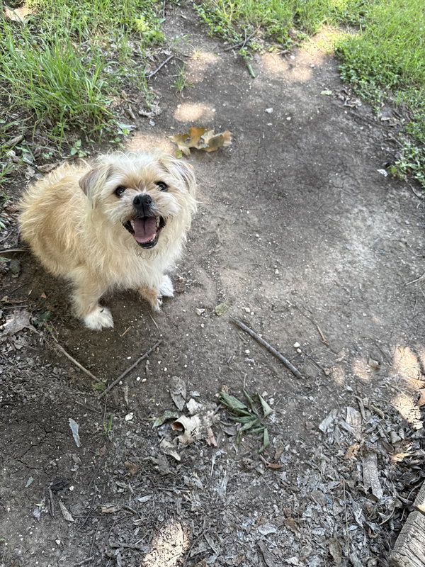 Heidi