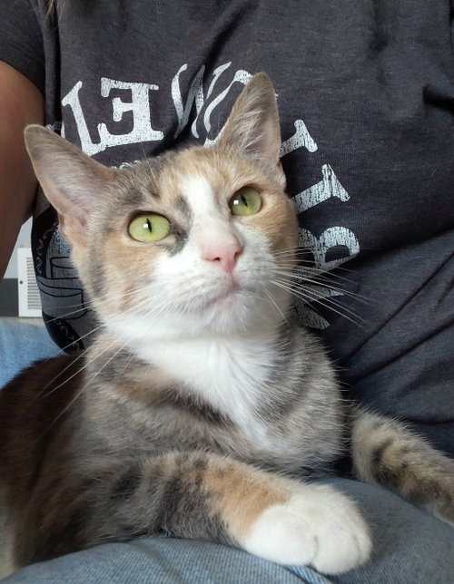 Photo 3 of Jasmine