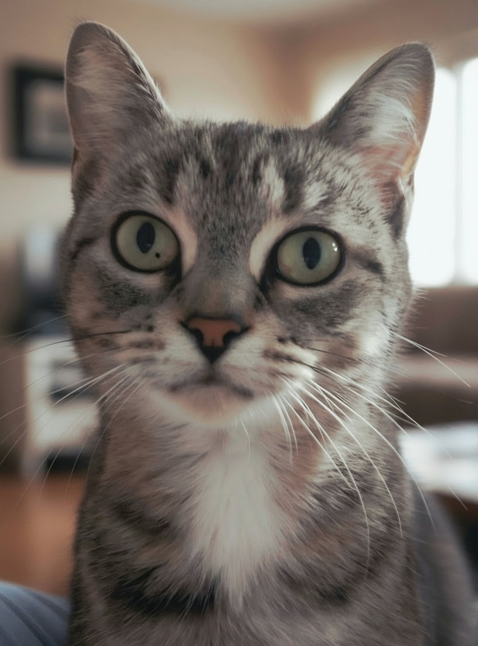 Elsa