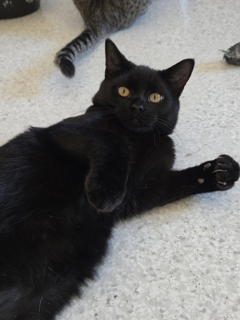 Clyde, photo 7