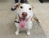 Tucker - Photo 2