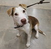 Tucker - Photo 1