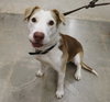 Tucker - Photo 4