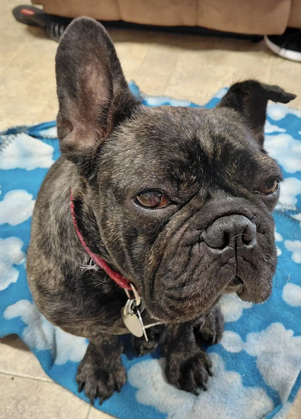 Lola image 4
