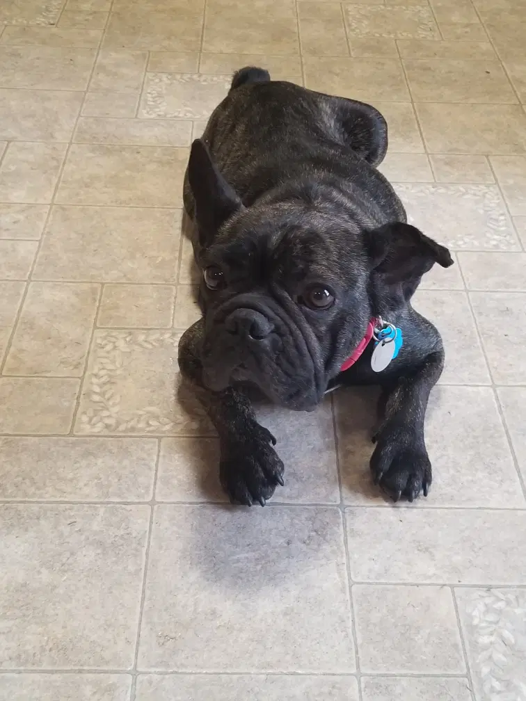 Lola image 2