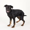 Pluto - Photo 2