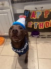 Charlie - Photo 2