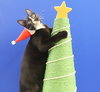 Pepe Le Pew - Photo 3