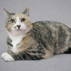 Cammie - Photo 2