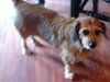 Lucy