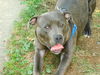 Indigo- EXTREMELY URGENT!!