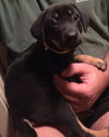 Evita