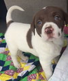 Kimora