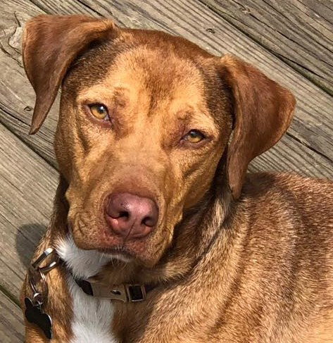 Avery - URGENT!
