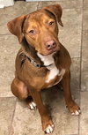 Avery - URGENT!