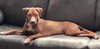 Avery - URGENT!