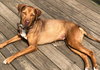 Avery - URGENT!