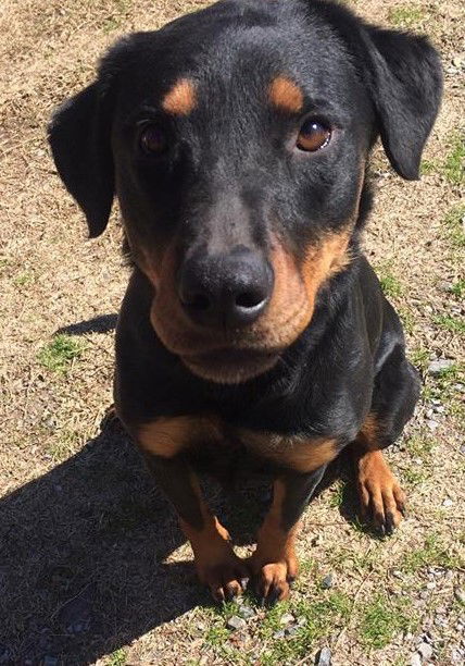 Alice - located in NJ