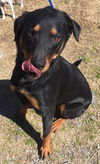 Alice - located in NJ
