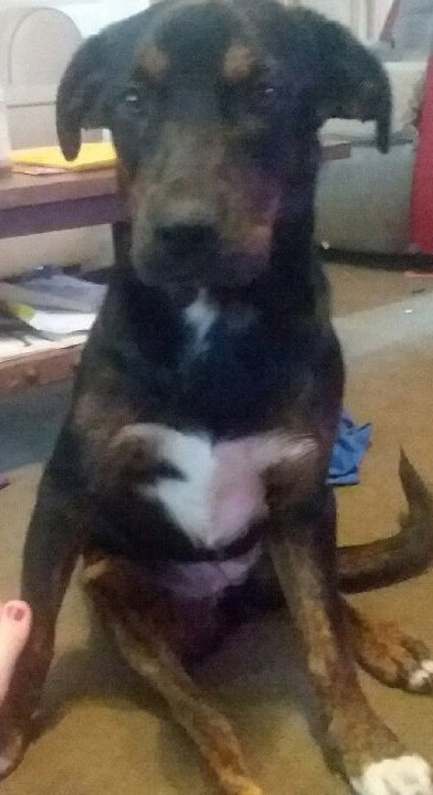 Roxy