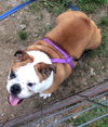 Amy