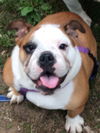Amy