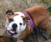 Amy