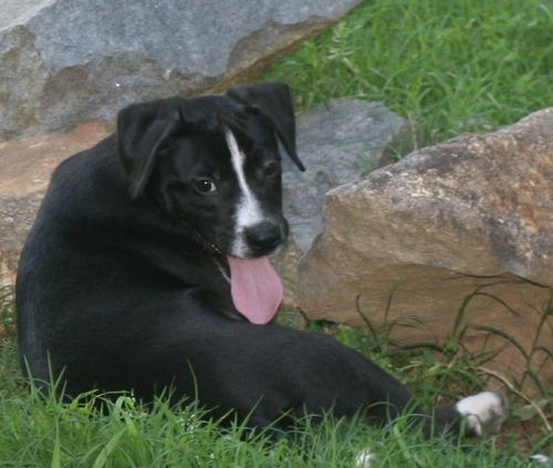 RILEY