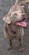 Sadie-located in NH