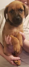 Winnie