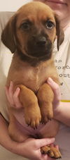 Winnie