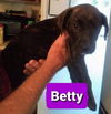 Betty