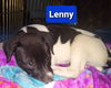 Lenny