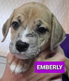 Emberly