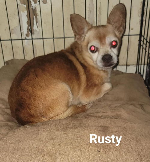 Rusty