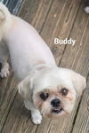 Buddy*Bonded with Boosy