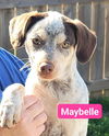 Maybelle