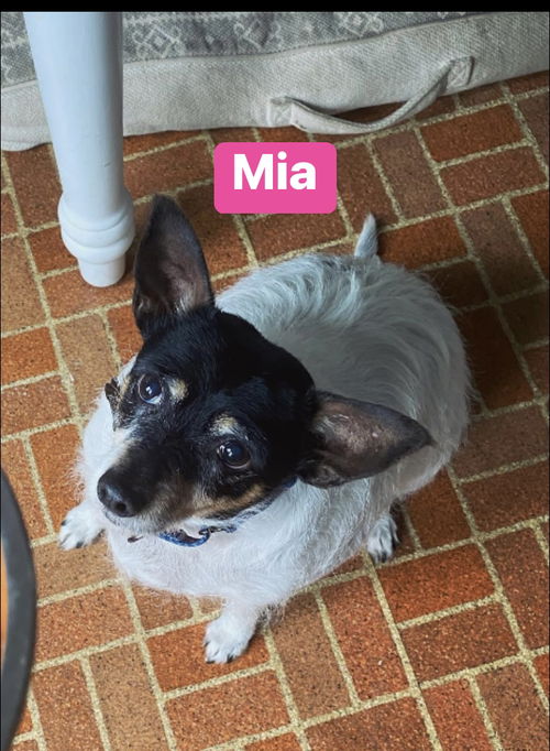 Mia