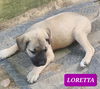 Loretta