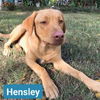 Hensley